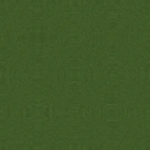 Wild Meadow — Noise & Grain