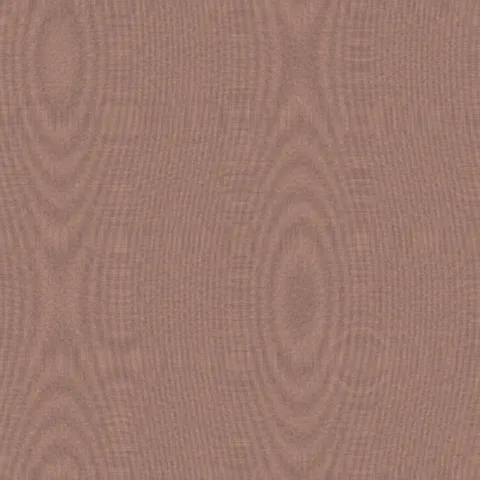 Coral Sand Sand — Noise & Grain