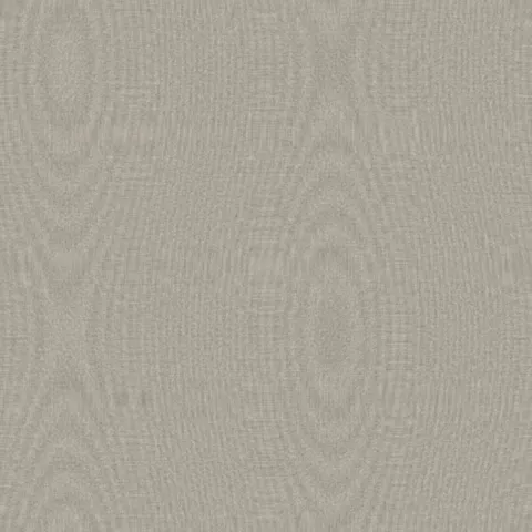 Fine White Sand — Noise & Grain