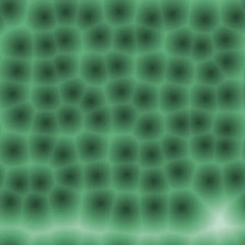 Alien Tissue Voronoi — Abstract